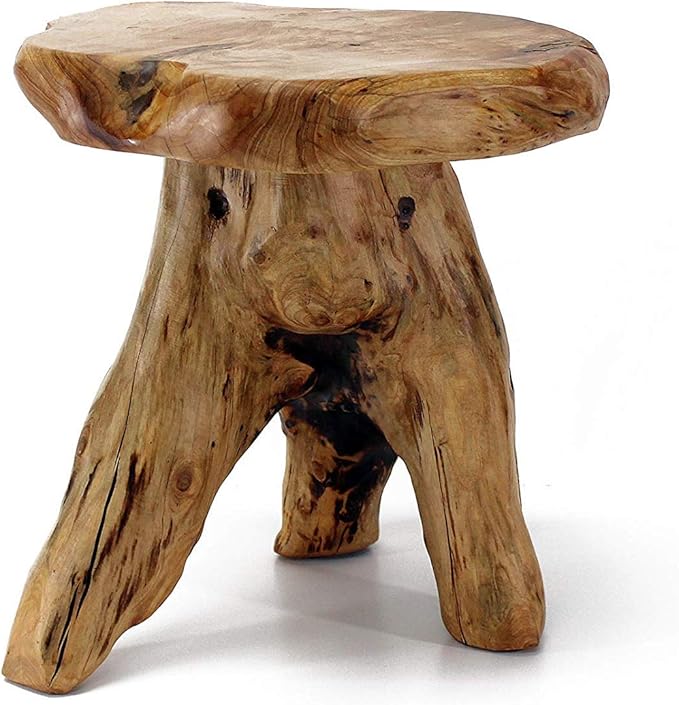 WELLAND Tree Stump Stool Live Edge, Natural Edge Side Table, Plant Stand, Nightstand, Mushroom Stool